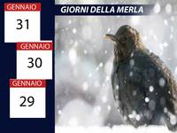 Meteo: Giorni della Merla glaciali, anche con Neve! Le Proiezioni per Fine Gennaio sono clamorose